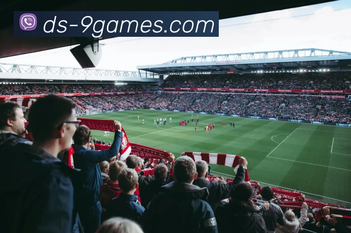 J9九游会官网APP 封面图